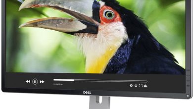Dell lanseaza monitorul 4K de 28" Dell P2815Q Dell P2815Q
