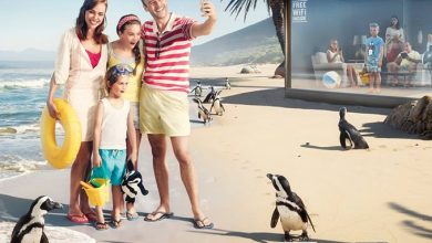 Cosmote Travel & Surf aduce trafic de date in roaming clientilor sai cosmote travel & surf