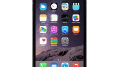 Apple anunta comercializarea accesoriului iPhone Lightning Dock iPhone Lightning Dock