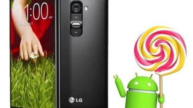 LG G2 mini primeste actualizare Android 5.0 de luna aceasta LG G2 mini primeste actualizare Android 5.0 de luna aceasta
