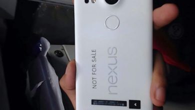 LG Nexus 5 2015 apare intr-o prima fotografie LG Nexus 5 2015 apare intr-o prima fotografie