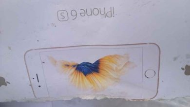 Cutia presupusului iPhone 6s a aparut pe internet! iPhone 6S si 6S Plus