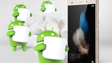 Poti testa Android 6.0 Marshmallow pentru P8 Lite, prin programul Huawei Poti testa Android 6.0 Marshmallow pentru P8 Lite, prin programul Huawei