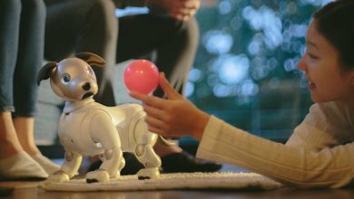 Sony Aibo, robo-catelul pe baza de inteligenta artificiala poate fi testat la Orange Sony Aibo, robo-catelul pe baza de inteligenta artificiala poate fi testat la Orange